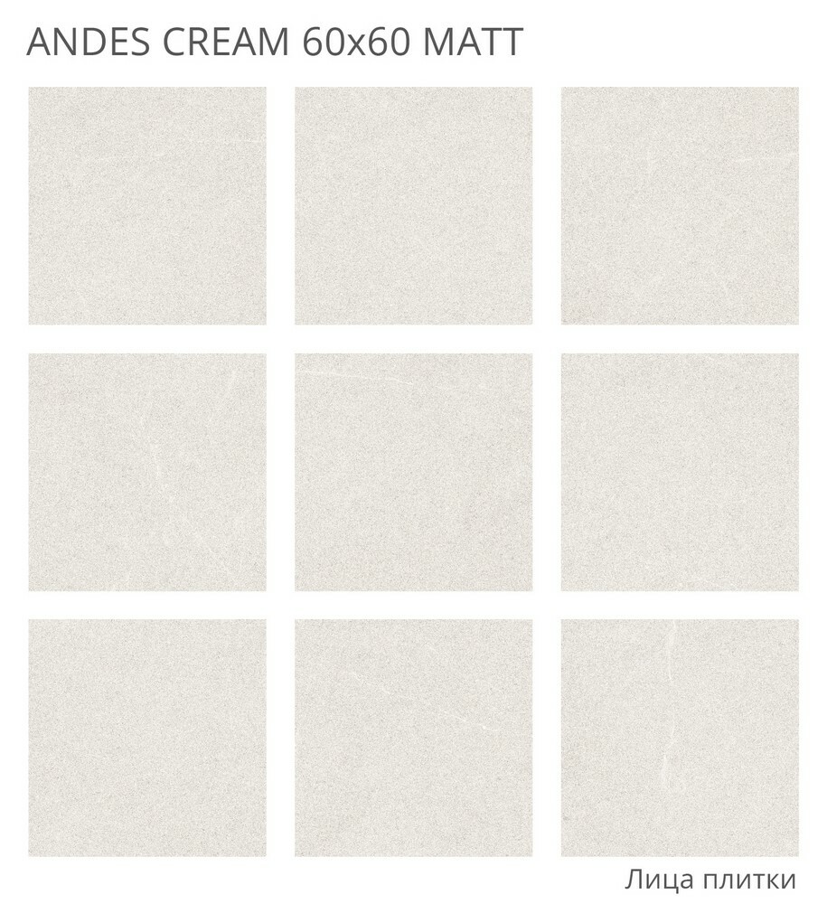Плитка ANDES CREAM 60x60 MATT серия Rizzi