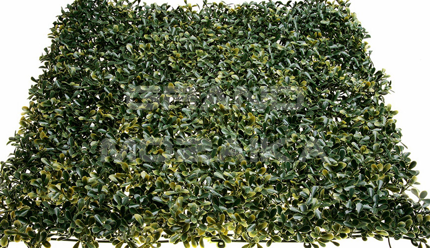 Трава 052288 MZCGZ-06148/MZ188018A серия Grass