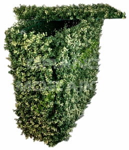 Трава 052291 MZCLT-6148 серия Grass