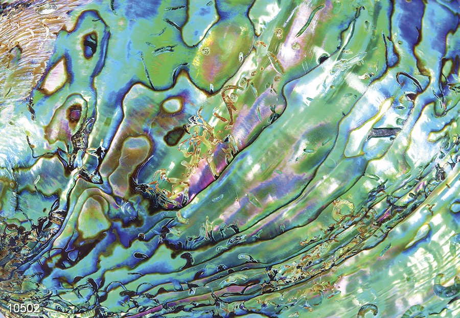 Панно 10502 серия Панно Fa Ro