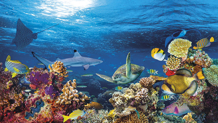 Панно 33115 серия Панно Fa Ro