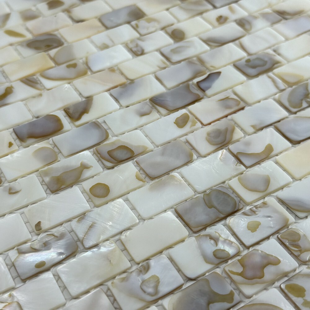 Мозаика PAINTED SHELL BRICK серия Shell-M